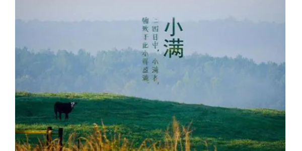 今日小滿(mǎn)丨耀先愿你的生活，幸福美滿(mǎn)！